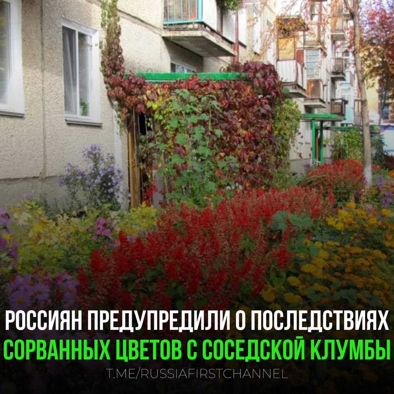 Сорванные цветы могут стать причиной уголовной ответственности Член Общественной палаты Евгений Машаров напомнил люди разоряющие палисадники обустроенные жителями у подъездов домов могут получить до двух лет лишения свободы замена покупных букетов цветами с клумб на 1 сентября также может обернуться штрафом арестом на 15 суток или обязательными работами   Если сорвали цветы но не похищали грозит штраф до 1 000 руб или арест до 15 суток   За кражу букета стоимостью до 2 5 тыс руб штраф составит до пятой части стоимости арест до 15 суток   Если ущерб превышает 2 5 тыс руб наступает уголовная ответственность до 2 лет лишения свободы Закон защищает чужую собственность даже самую маленькую Что думаете о таких строгих мерах Полезно дисциплинирует Возможно чрезмерно строго РОССИЯ   Чат