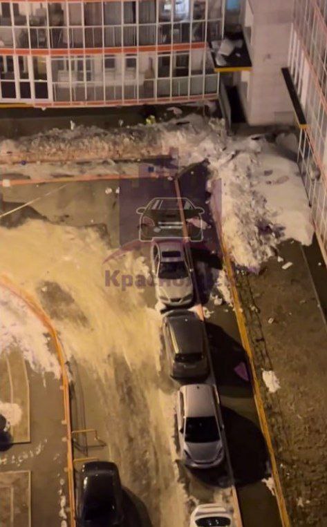 Неадекватная красноярка выбросила двух кошек и собаку с балкона 14 этажа высотки в ЖК Орбита животные не выжили Все произошло накануне вечером на улице Борисова Кроме домашних животных женщина выбрасывала на припаркованные автомобили мебель и бытовую технику Прибывшие на место полицейские скрутили буйную 41 летнюю красноярку и передали медикам в психдиспансер Жильцы дома тем временем готовят иск за порчу разбитых машин и заявление о жестоком обращении с животными Это Борус Люди