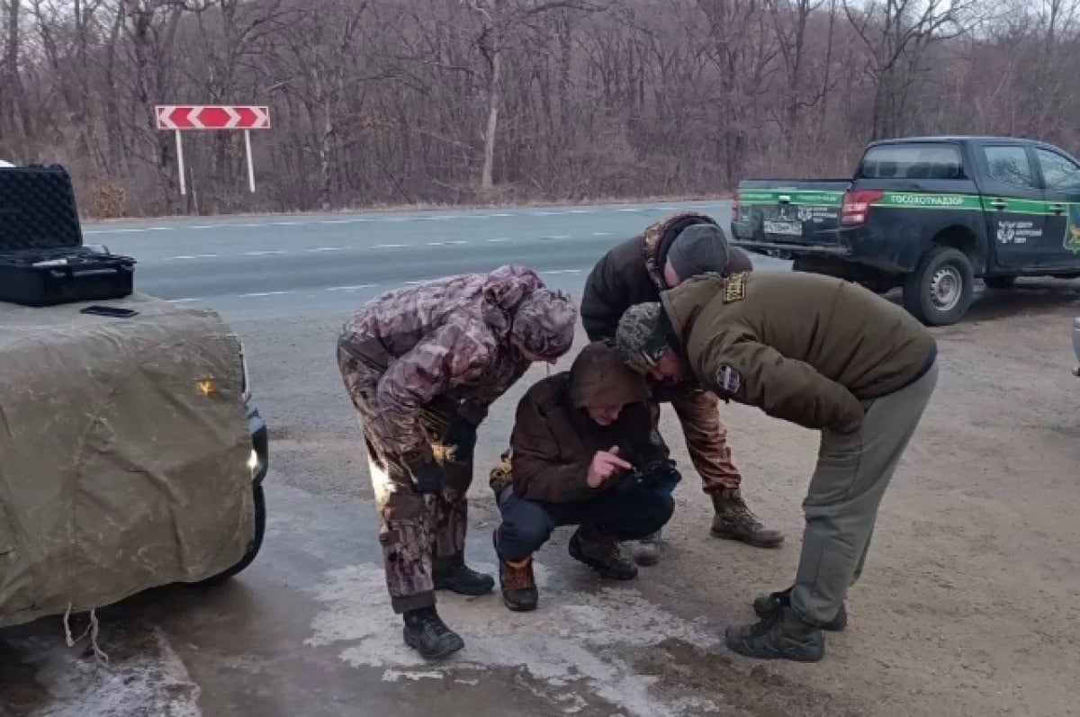 В Приморье, недалеко от села Барабаш, произошло столкновение автомобиля с амурским тигром. Инцидент случился в тёмное время суток, когда водитель, следуя в пределах допустимой скорости, неожиданно увидел тигра на дороге. Попытка экстренного торможения не спасла от удара. Животное скрылось в лесу  .  По информации Telegram-канала «Земля леопарда», тигр выжил, но его состояние остаётся неизвестным. Водитель сообщил о происшествии в соответствующие службы, что позволило специалистам оперативно начать поиски  .   Представители национального парка призывают автомобилистов быть внимательными на дорогах, особенно в тёмное время суток  .   Подробнее в «АиФ-Приморье».