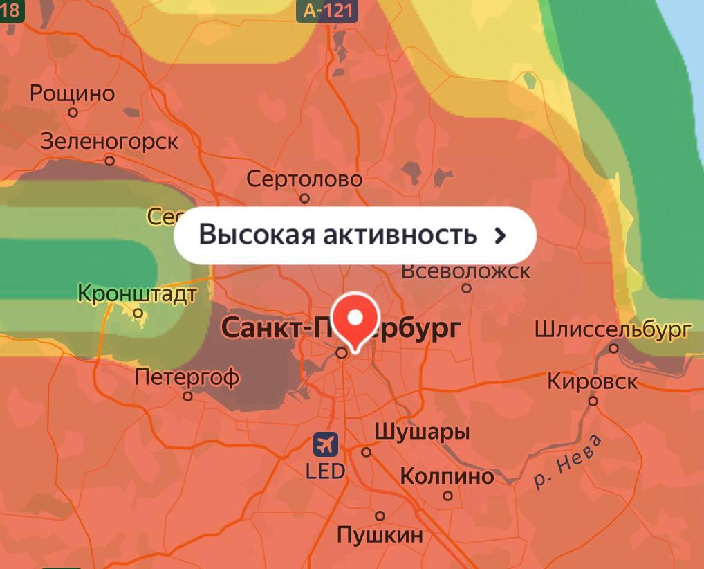 Высокая активность пыльцы в Петербурге ожидается уже завтра Пик цветения берёзы придётся на понедельник и четверг True Питер