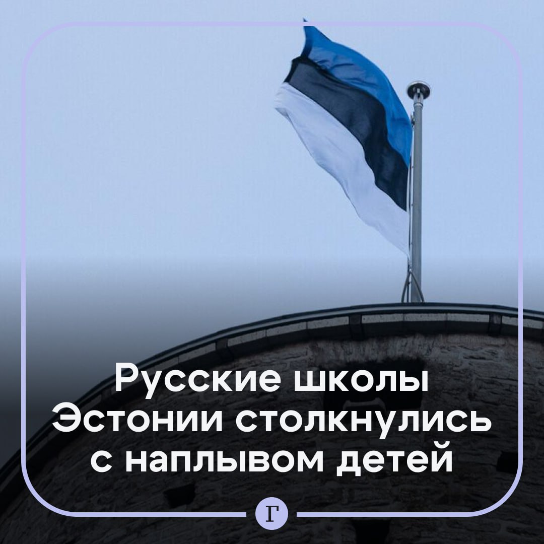 Русские частные школы Эстонии столкнулись с наплывом детей.  Все из-за политики «дерусификации» образования. Чаще всего туда отправляют школьников, чьи родители против учебы только на эстонском.  На частные школы, в отличие от государственных, не распространяется требование вести уроки исключительно на госязыке.  Подписывайтесь на «Газету.Ru»