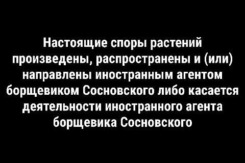 Растения иногенты появятся в нижегородских законах Так председатель заксобрания Нижегородской области назвал перечень вредной растительности Он предложил внести его в местные экозаконы Первый и главный кандидат борщевик Сосновского Евгений Люлин считает что раньше деньги на борьбу с ним уходили как вода в песок Теперь у кого на земле заколышется опасный зонтик получит штраф Ибо нечего семена на чистые дворы распространять когда то обжёгся   Телегу замедляют подписывайся на нас в MAX