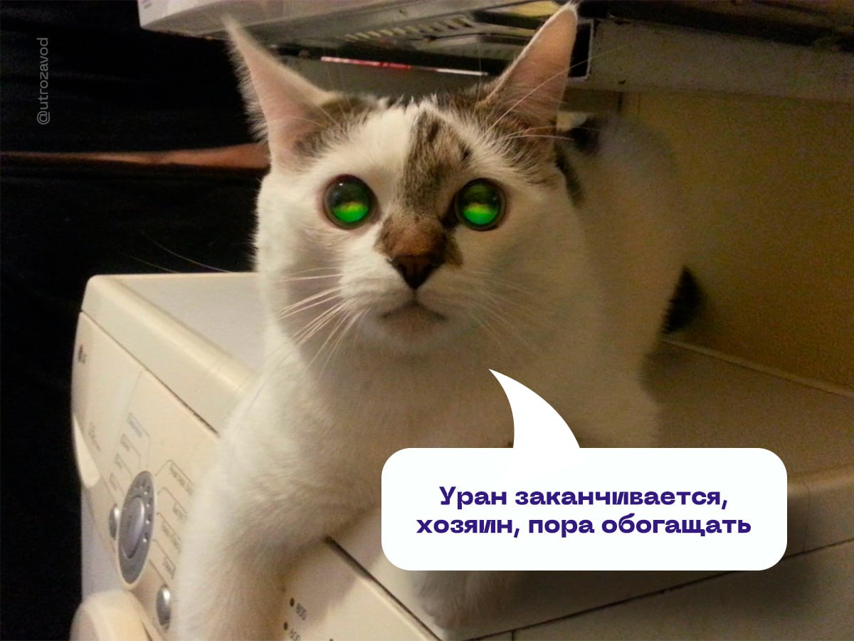 Все еще разделяете изотопы урана по старинке? Тогда мы идем к вам! В Росатоме создали газовую центрифугу нового поколения для обогащения урана. Машина десятого поколения ГЦ-10 — это историческое достижение российских конструкторов. Она эффективнее и производительнее своих пращуров. Аппарат отделяет более легкие изотопы урана-235 от тяжелых изотопов урана-238 за счет центробежной силы. Скорость вращения внутри механизма — свыше 1000 об./сек. Получившийся обогащенный уран используют для производства ядерного топлива для энергетических, исследовательских и транспортных ядерных реакторов. #энергетика начинается с завода