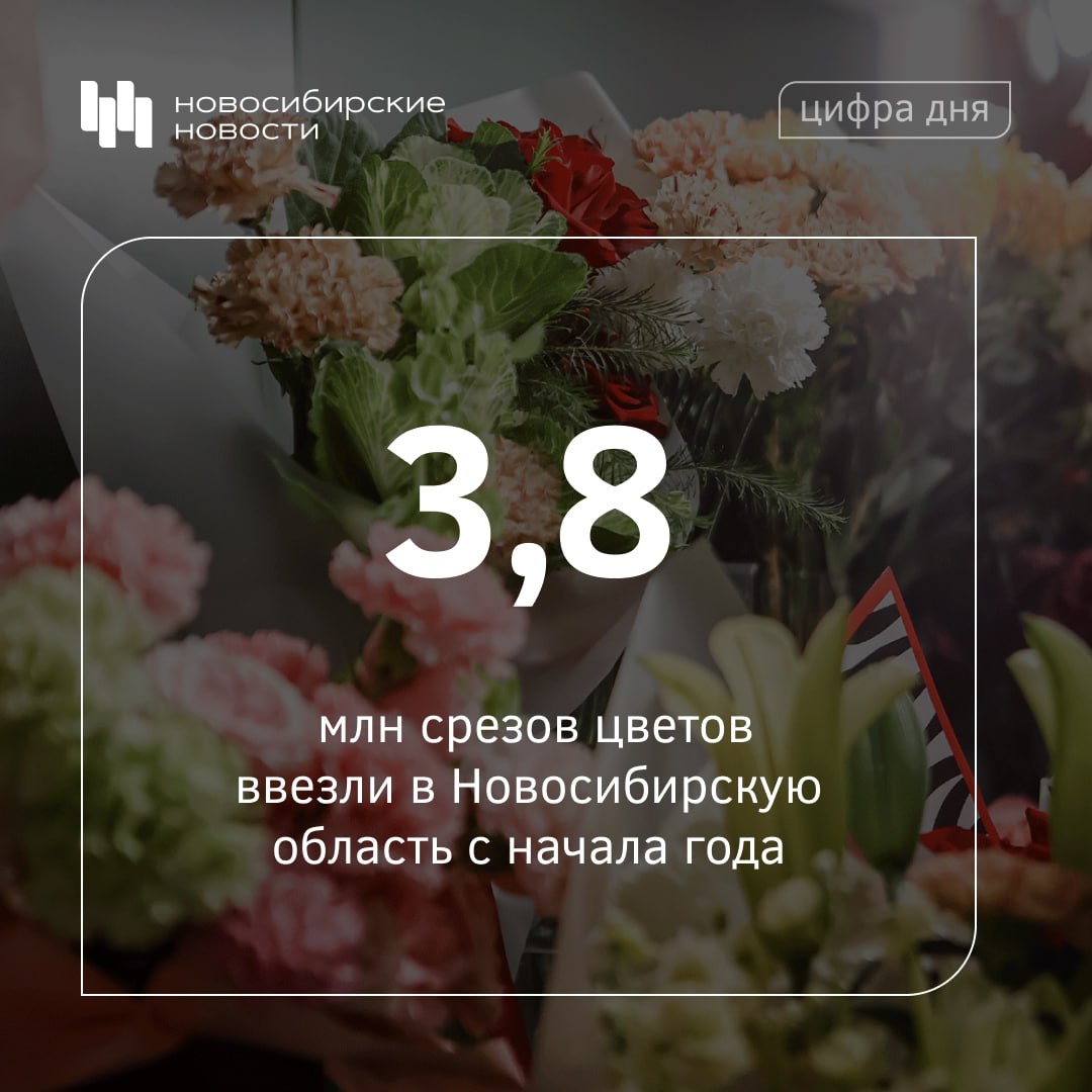 Экзотические растения пополнили прилавки Новосибирска к цветочным датам Ароматную продукцию ввезли из Китая Латвии Кении Вьетнама Таиланда Киргизии и Казахстана сообщили в региональном управлении Россельхознадзора В область поступили розы хризантемы герберы гортензии гипсофилы лилии ирисы тюльпаны каллы пионы и гладиолусы Ассортимент традиционных цветов пополнили необычные виды средиземноморские ранункулюсы и статицы подсолнечник ромашки фрезии и кларкии С начала года инспекторы оформили 3 8 миллиона срезов цветов и декоративной зелени а также горшечных растений При этом забраковали 86 600 штук обнаружив в них паразитов западного калифорнийского трипса белую ржавчину хризантем и табачную белокрылку Партии прошли процедуры обеззараживания и уничтожения Подписывайтесь на канал