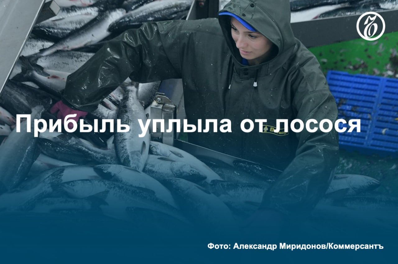 АФК «Система», которой принадлежал один из крупнейших российских холдингов по добыче тихоокеанского лосося «Восход», чей бизнес оценивается в 13–15 млрд руб., уступила контроль малоизвестной на рыбном рынке предпринимательнице Милане Керимовой. АФК не удалось за несколько лет вывести холдинг на приемлемый уровень рентабельности в том числе из-за падения в прошлом году в два раза добычи лососевых. #Ъузнал