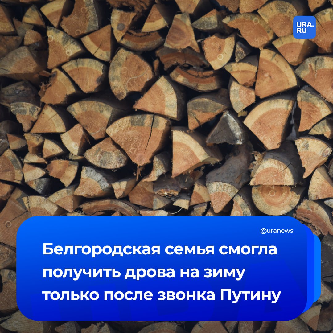 Инвалид из Белгородской области смог получить дрова на зиму только после звонка на прямую линию Путина. На просьбу мужчины откликнулся оператор колл-центра прямой линии, ветеран СВО. Он решил помочь с заготовкой дров через своих сослуживцев в регионе. Те, в свою очередь, обратились к военным волонтерам.  Благодаря им 15 кубометров дров доставили инвалиду домой уже на следующий день после обращения. Помимо них белгородская семья получила продукты и теплые одеяла, сообщили в движении «Народный фронт» РИА Новости.