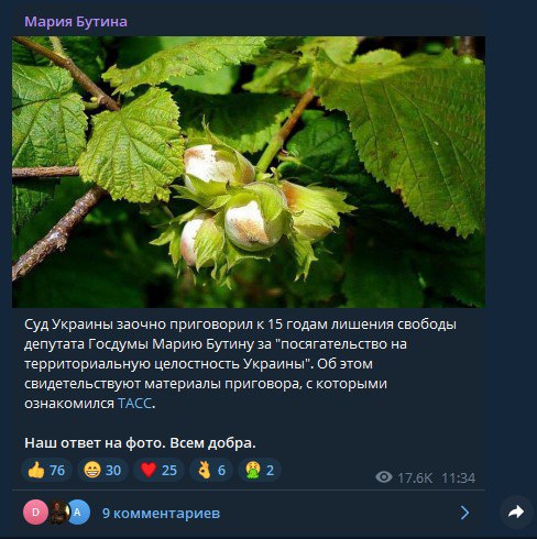Мария Бутина ответила картинкой орешника на новость о своем приговоре на Украине Хмельницкий городской районный суд Украины заочно приговорил к 15 годам лишения свободы депутата Госдумы, члена комитета ГД по международным делам и уроженку Алтайского края Марию Бутину. Об этом пишет ТАСС. Кроме того, суд постановил конфисковать у Бутиной все ее имущество в пользу Украины. В комментариях к посту Марии в Telegram пользователи выразили поддержку. ТОЛК
