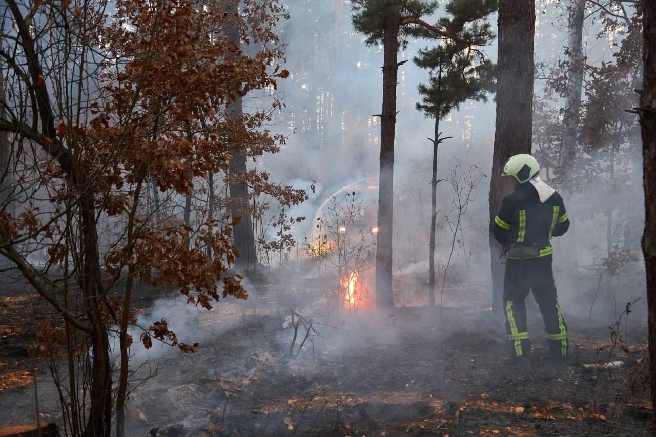 4 класс пожарной опасности прогнозируют в Оренбургской области В период с 9 по 14 мая местами преимущественно в западных и южных районах региона ожидается высокая пожарная опасность – 4 класс, сообщили в МЧС. Оренбуржье