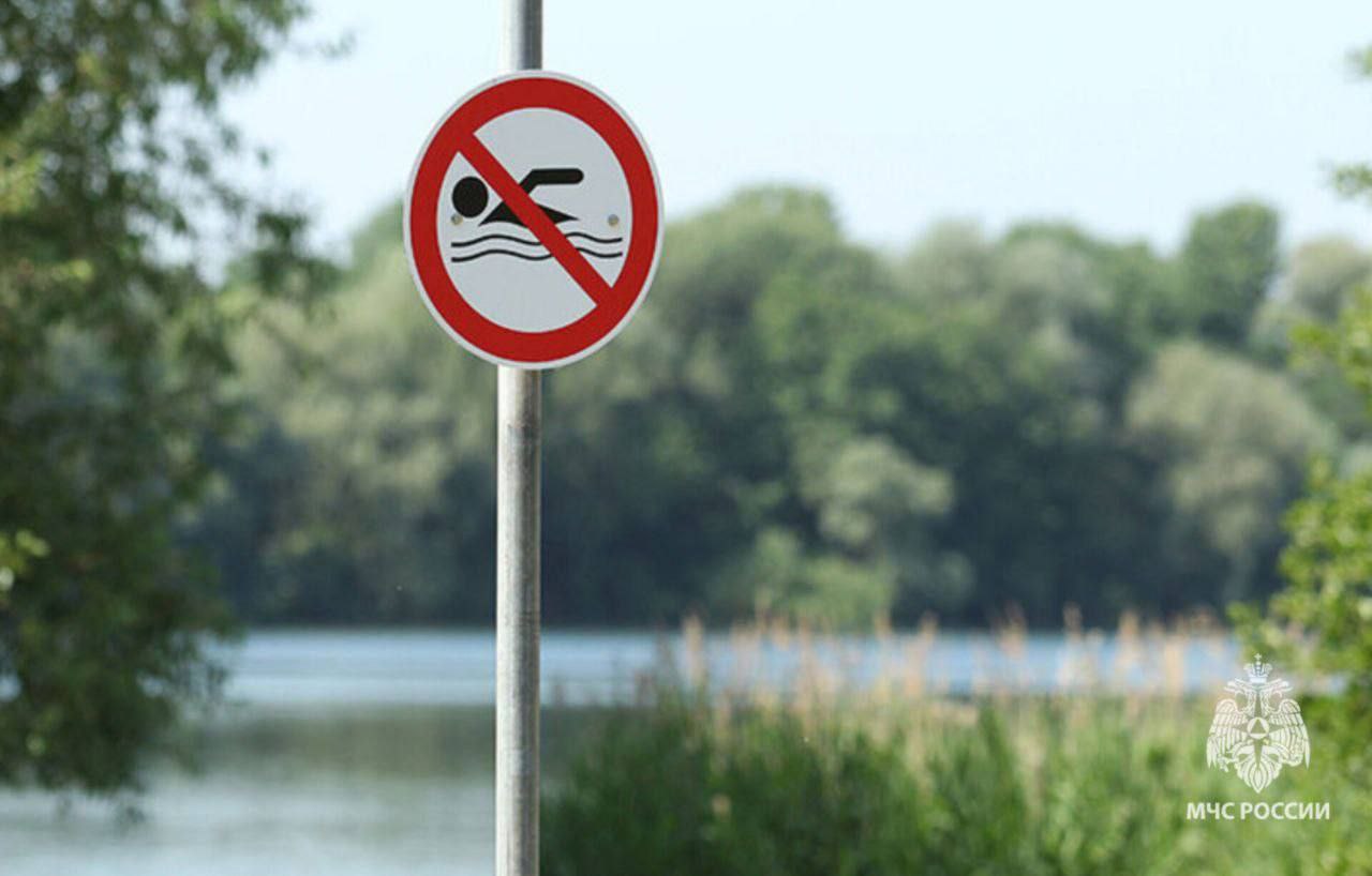 Трагические происшествия на водоёмах Краснодарского края За последние сутки на водных объектах региона погибли три человека Два случая произошли в Сочи и один в Усть Лабинске Ваши видео высылайте нам в бот krasnodarkray bot Подпишись поделись krasnodarkray1 Прислать видео новость