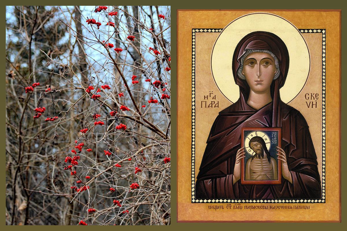 Великомученица Параскева Иконийская в народе известная как Параскева Пятница жила в III веке в Малой Азии современная территория Турции Прозвище Пятница перевод имени Параскева которое дали ей родители в знак почтения к дню страданий Господних когда Иисус Христос был распят на кресте Некоторые факты из жития Рано потеряв родителей Параскева унаследовала значительное состояние но вместо того чтобы наслаждаться роскошью приняла обет безбрачия и решила посвятить свою жизнь служению Христу Она раздала своё имущество нуждающимся и начала активно проповедовать христианскую веру среди язычников Её проповеди пришлись на период гонений на христиан развязанных императором Диоклетианом За отказ поклониться языческим идолам Параскева была подвергнута жесточайшим пыткам Согласно житию Бог не оставил страдалицу ночью ей явился Ангел который чудесным образом исцелил все её раны и наутро Параскева предстала перед мучителями невредимой Однако это чудо не вразумило военачальника Пытки продолжились её жгли факелами а когда она силой молитвы сокрушила идолов в языческом капище мучитель опасаясь народного волнения приказал обезглавить святую Так в возрасте около 20 лет Параскева приняла мученическую смерть Святая Параскева считается многогранной заступницей помогающей в разных житейских ситуациях Семейное благополучие и брак Ей молятся о счастливом замужестве об удачном выборе супруга о гармонии в семье и защите от раздоров Материнство и здоровье Женщины обращаются к ней с просьбами о лёгком зачатии благополучной беременности здоровом рождении ребёнка и об исцелении детских болезней Исцеление недугов Параскева считается целительницей как душевных так и телесных болезней Хозяйство и торговля В древности её считали покровительницей полей урожая и скота Путешествия Ей благоволили путешественники и в честь неё часто возводили придорожные часовни где провожали и встречали путников День памяти великомученицы Параскевы Параскевы Пятницы в православной церкви ежегодно отмечается 10 ноября