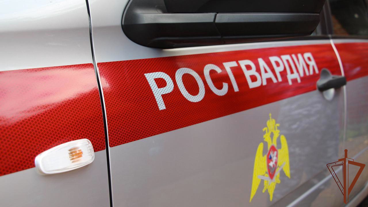 Росгвардеец помог задержать голую дебоширку, залезшую на машину в Подмосковье Сотрудник отдела вневедомственной охраны Главного управления Росгвардии по столичному региону помог задержать женщину, совершавшую хулиганские действия, которые парализовали движение в Подмосковье. Об этом сообщает Telegram-канал «Росгвардия. Московская область». Пресс-служба уведомляет, что происшествие зафиксировали в подмосковном Солнечногорске. Росгвардеец, возвращавшийся со службы, заметил неадекватную обнаженную женщину, которая забралась на движущийся автомобиль. Она выкрикивала оскорбления в адрес прохожих…
