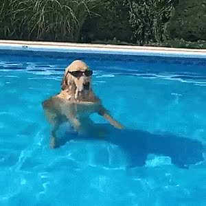 Эксперты рекомендуют пить воду и избегать жирной пищи в жару