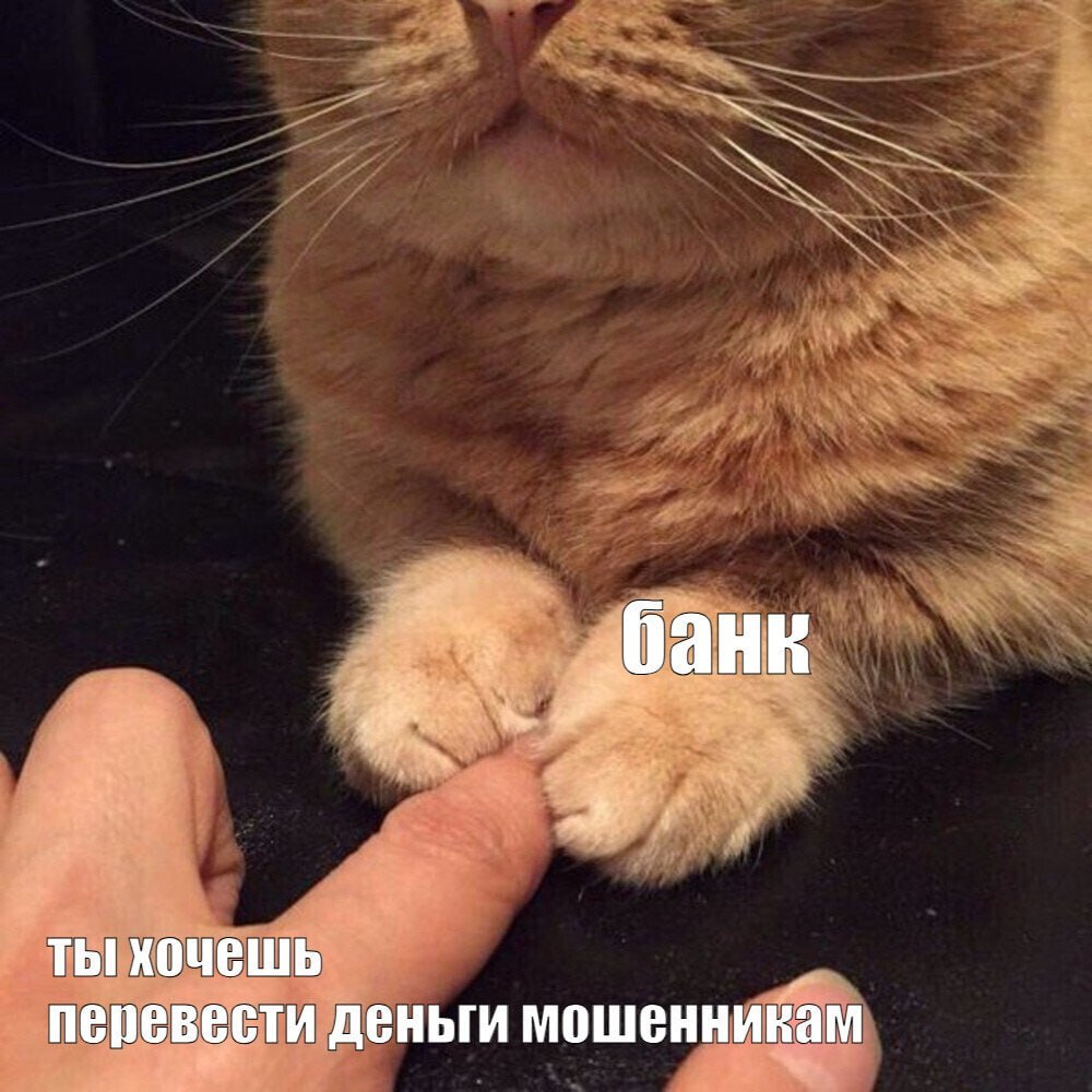 Сахалинку дважды спас банк от перевода крупной суммы мошенникам 48-летней жительнице Корсакова позвонили аферисты, представившись сотрудниками ФСБ. Они заявили, что с её счёта якобы идет финансирование Украины, и под этим предлогом убедили женщину оформить кредит на 520 тысяч рублей. Попытка обналичить средства в банке завершилась неудачей — операция была отклонена, а карту заблокировали. Тогда злоумышленники направили женщину в Южно-Сахалинск, где она снова попыталась снять деньги. Но на этот раз сотрудники банка вмешались вовремя и объяснили, что она стала жертвой мошеннической схемы. С любовью, ваши острова