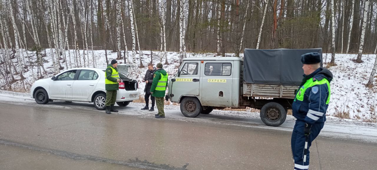 В Луховицком лесничестве продолжается мероприятие «Елочка».  В этот период активизируется деятельность предпринимателей, в том числе тех, кто незаконно заготавливает или перевозит новогодние деревья без разрешительных документов.  На стационарном посту ДПС 124 км автодороги М-5 «Урал» сотрудниками Луховицкого филиала ГКУ МО «Мособллес» и 6 батальона 2 полка ДПС  Южный  ГИБДД ГУ МВД России по Московской области проводятся совместные дежурства в целях контроля за перевозкой деревьев хвойных пород.  Старший участковый лесничий Луховицкого участкового лесничества Луховицкого филиала ГКУ МО «Мособллес» Юрий Федулов отметил: «Самостоятельная заготовка елей и их ветвей запрещены, нарушителей ждут штрафы, а в случае значительного ущерба - уголовная ответственность». Он рекомендует приобретать новогодние ели на официальных ёлочных базарах и в лесных питомниках ГАУ МО «Центрлесхоз».