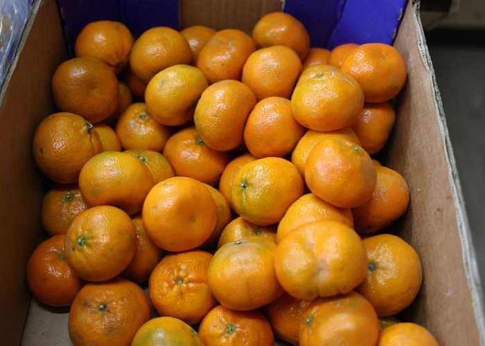 К Новому году на Южный Урал завезли 36 тонн китайских мандаринов   gubernia74 ru articles society 1137948 Через автомобильный пункт пропуска Бугристое на российско казахстанской границе с 22 по 28 декабря в Челябинскую область завезли 16 тонн томатов и 36 тонн мандаринов из Китая Продукция прошла фитосанитарный контроль нарушений требований не выявили о чем рассказали в Уральском межрегиональном управлении Россельхознадзора   t me chgub