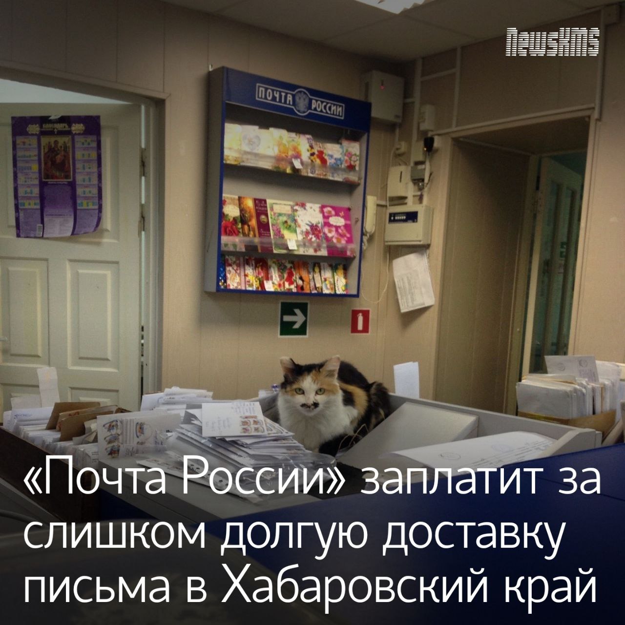 С иском о защите прав потребителя к АО Почта России обратился житель поселка Эльбан Амурского района Он просил взыскать компенсацию за то что письмо из Майкопа до Эльбана добиралось 82 дня с 23 марта до 11 июня При этом по нормативу оно должно было прийти за 13 дней Солнечный районный суд признал такую задержку грубым нарушением удовлетворил иск гражданина и взыскал с почтового оператора в его пользу 4652 рубля компенсацию морального вреда и штраф по Закону О защите прав потребителей сообщили в объединенной пресс службе судов Хабаровского края NewsKMS