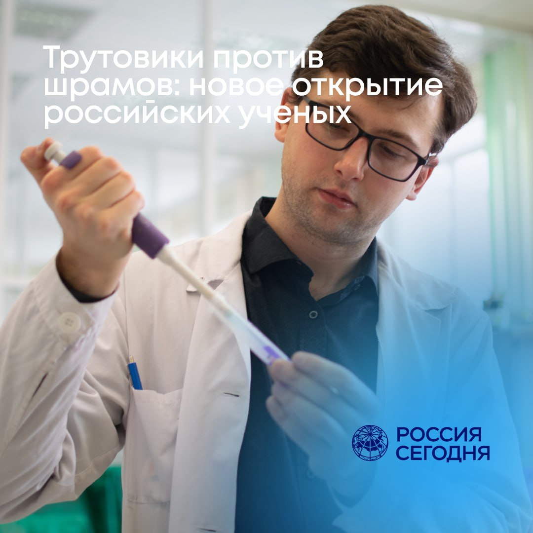 Грибы помогут от ожогов Новые свойства трутовых грибов обнаружили биологи urfu ru Оказалось что Ganoderma Applanatum трутовик плоский обладает ранозаживляющим эффектом за счёт уникального комплекса биоактивных веществ полисахариды полифенолы терпены На основе экстрактов из грибов и ланолина учёные создали мазь которая ускорила заживление ран даже после ожогов третьей степени от которых образуются рубцы Для заживления раны должны восстановиться не только сами клетки но и межклеточное вещество каркас кожи Это длительный процесс включающий в себя несколько стадий которые могут затягиваться и приводить к негативным последствиям например к серьёзному воспалению или образованию рубцов Мази на основе ланолина с экстрактами трутовых грибов стимулируют образование новых клеток и уменьшают воспалительные реакции благодаря чему процесс заживления идет быстрее поясняет завлабораторией молекулярной и клеточной биотехнологии УрФУ Александр Ермошин Производство таких мазей не требует больших затрат полагают исследователи Поэтому работа биологов открывает перспективы для создания эффективных ранозаживляющих средств Отметим исследования в УрФУ проводятся при поддержке Минобрнауки России в рамках Десятилетия науки и технологий Наука на Урале