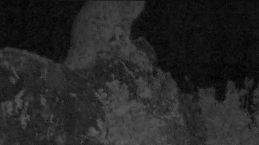 Снежный барс мяукает: видео из Саяно-Шушенского заповедника привлекает внимание к охране редких видов