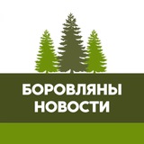 Аватар Телеграм канала: Боровляны | Новости