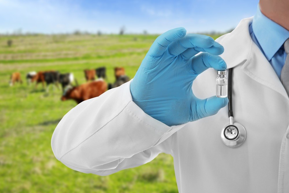 Лут назвала приоритеты мировой ветбезопасности Оксана Лут на форуме Ветеринарная безопасность выделила ключевые задачи мониторинг трансграничных рисков механизмы противодействия доступность средств профилактики и развитие науки и кадров Она отметила рост непредсказуемости болезней включая нестандартные случаи птичьего гриппа в США Россия усиливает биобезопасность контролирует дикую фауну разрабатывает высокотехнологичные ветпрепараты и наращивает экспорт который уже вырос в 1 5 раза Важны борьба с антимикробной резистентностью и подготовка специалистов обучение ведут 42 вуза действует интернатура Цифровые системы включая ВетИС помогают отслеживать риски и движение продукции Подписаться на новости Вступить в чат фермеров