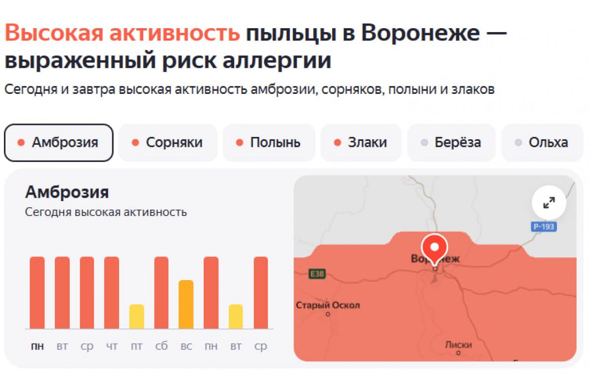 Воронежских аллергиков предупредили о высокой активности пыльцы В Воронеже и южных районах области наблюдается высокая концентрация пыльцы амброзии. Такая ситуация сохранится до конца рабочей недели. А вот в пятницу активность немного уменьшится, но затем снова начнёт расти. ↗ Прислать новость Подписаться