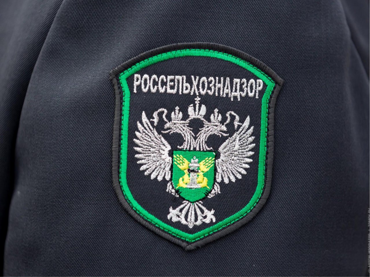 Россельхознадзором пресечена попытка ввоза в Крым баранины неизвестного происхождения из Херсонской области 11 февраля 2026 года на трассе Херсонская область Армянск в районе АКПП Перекоп территория Красноперекопского района Республики Крым инспекторами Азово Черноморского межрегионального управления Россельхознадзора была пресечена попытка ввоза из Херсонской области в Крым небезопасного сырья животного происхождения В ходе досмотра транспортного средства и документарного контроля было установлено что среди партии мяса охлажденной говядины и говяжьих охлажденных субпродуктов которые сопровождались ветеринарными сопроводительными документами находились 8 туш баранины общим весом 164 5 кг без документов подтверждающих качество и безопасность а также эпизоотическое благополучие местности выхода ИП Усманову И З из Херсонской области владельцу данной партии продукции инспекторами Россельхознадзора выданы требования об устранении нарушений в области ветеринарии обеспечения ответственного и изолированного хранения до решения вопроса об уничтожении небезопасной продукции По итогу проведенной работы животноводческая продукция мясо баранины 8 туш общим весом 164 5 кг уничтожена 11 февраля 2026 года