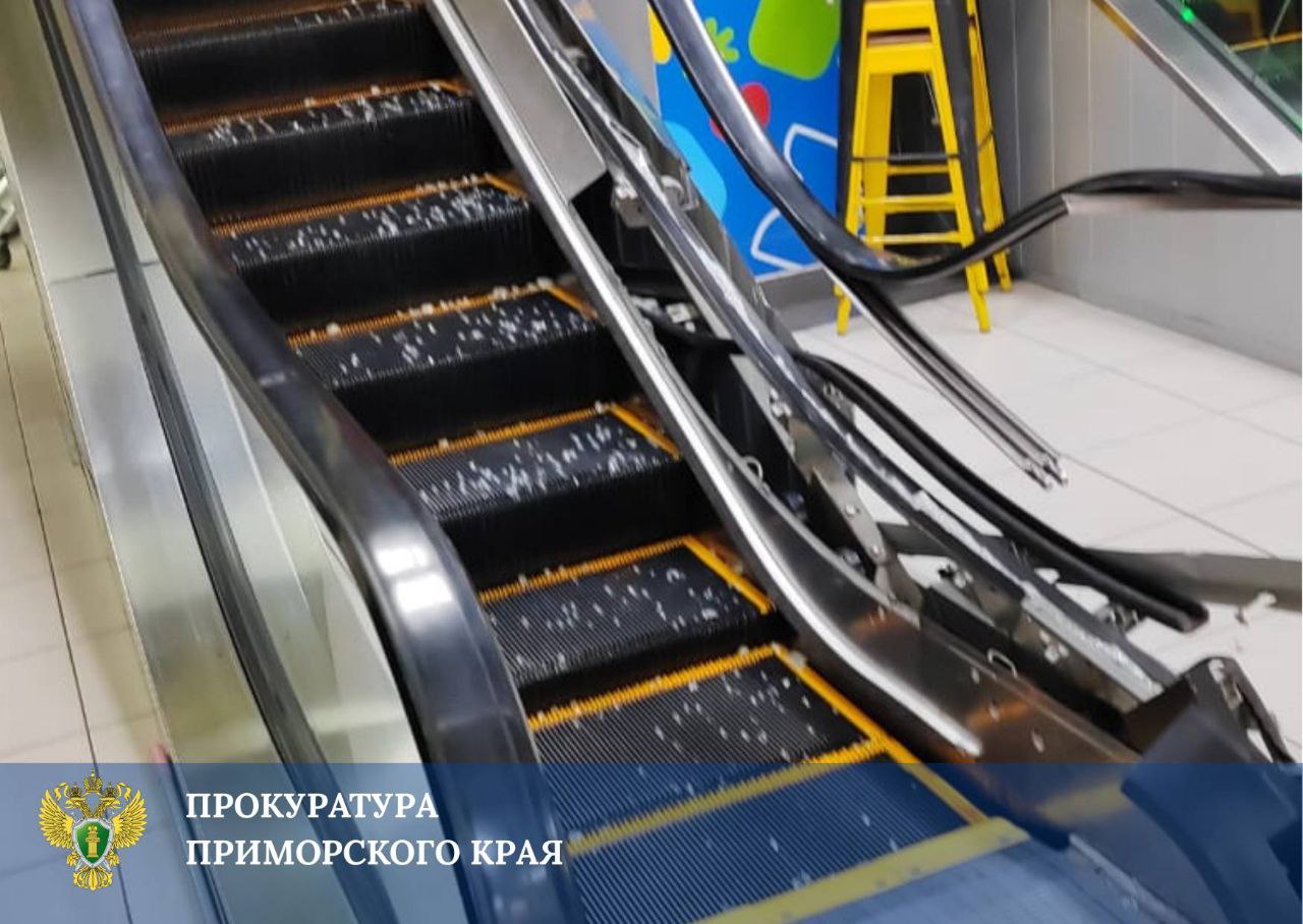 Четырехлетней девочке зажевало руку на эскалаторе в Приморье На последних ступеньках девочка упала механизм зажевал рукав куртки а затем и руку Ребенка доставили в больницу региональная прокуратура проводит проверку Подписаться на РИА Новости