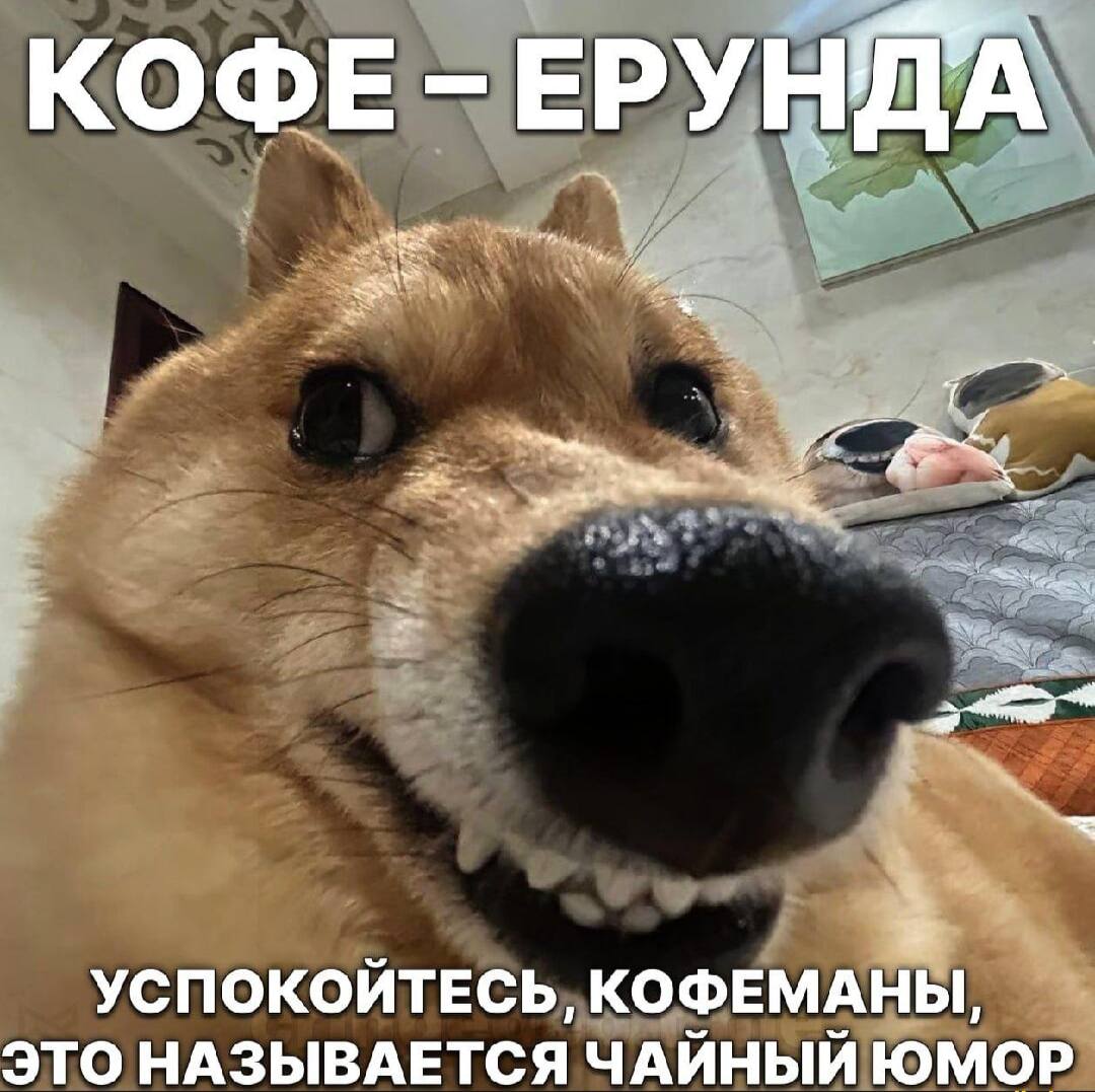 Кофе улучшает качество сна Согласно исследованию кофе хоть и сокращает время ночного отдыха но усиливает глубокую фазу сна когда организм полноценно восстанавливается Заметный эффект проявлялся только после трёх чашек в день Кофеманы оказывается были правы