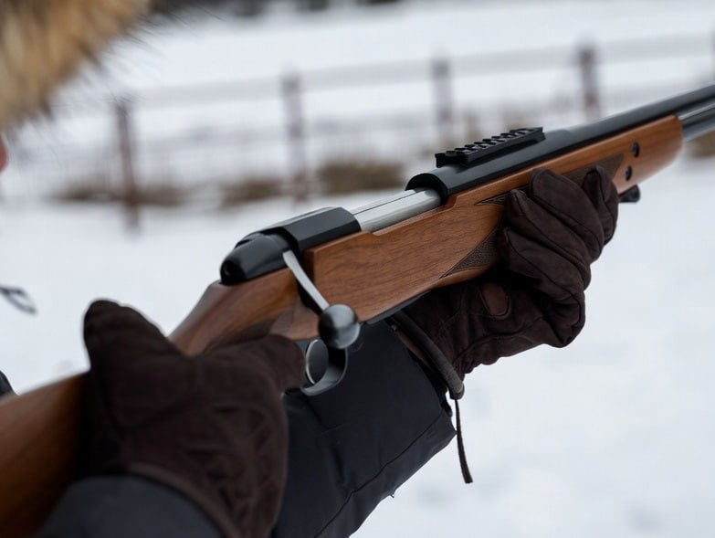 В Бузулукском районе нашли шесть убитых косуль возбуждено дело о браконьерстве В лесополосе Бузулукского района обнаружены туши шести диких косуль По факту незаконной охоты возбуждено уголовное дело виновным грозит до пяти лет лишения свободы
