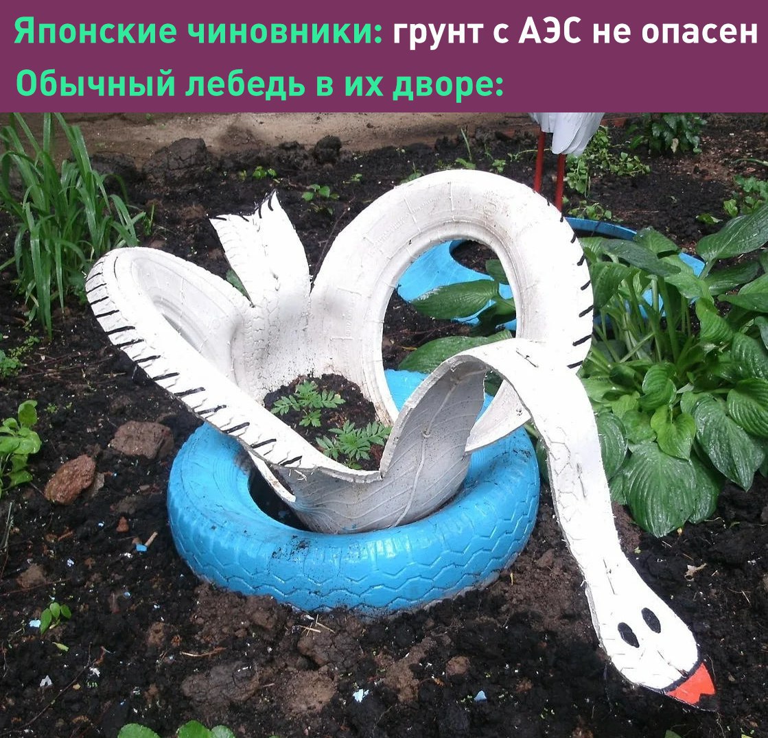 В клумбах канцелярии премьера Японии будут использовать землю с места аварии АЭС «Фукусима».  Таким образом правительство хочет показать японцам, что грунт безопасен и его можно использовать и в обычной жизни  А что ещё случилось?