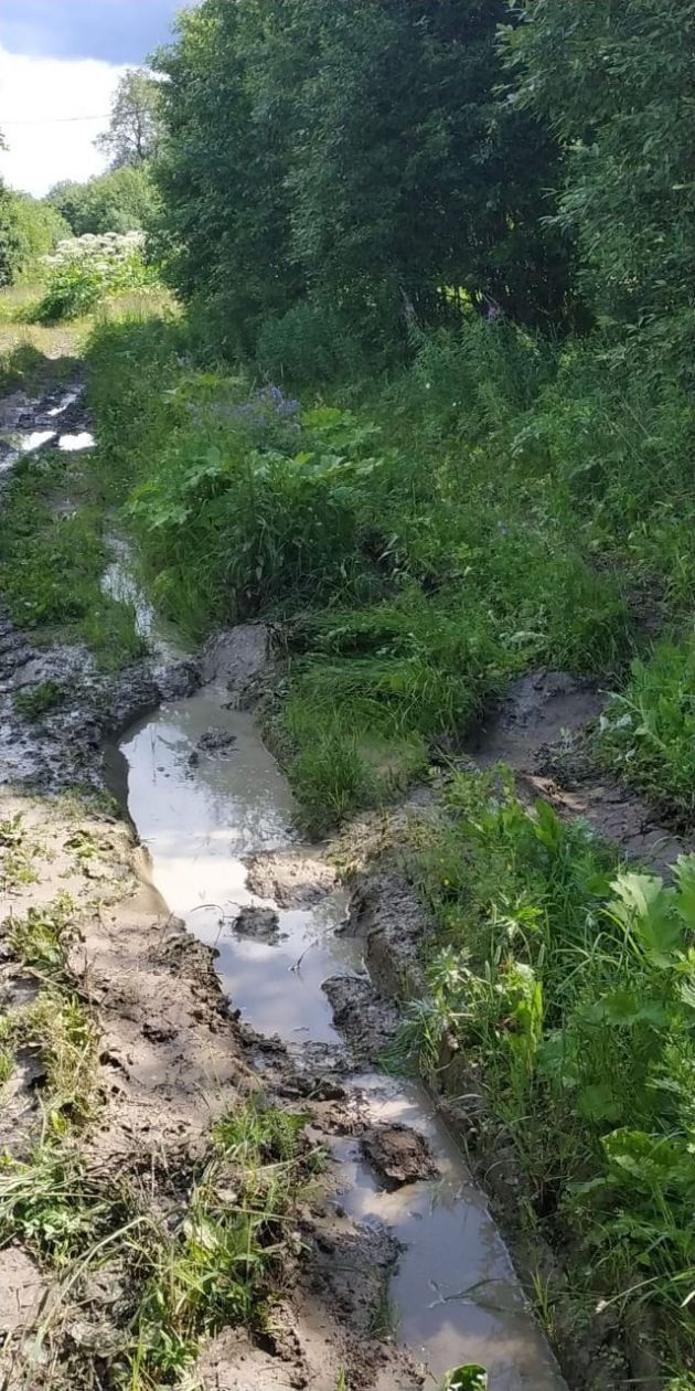 Дом-то ненастоящий. Под Волосово прокуратура показала городским фермерам козу В Волосовском районном суде с конца мая рассматривается гражданский спор по земельным делам между Екатериной Белоусовой и прокуратурой района из-за участка в 30 соток в деревне Синковицы, который женщина пыталась выкупить у районной администрации по льготной цене. Одновременно ведется расследование по уголовному делу о мошенничестве в особо крупном размере, где Белоусова – подозреваемая. Все из-за поставленного на этом участке дома. Как рассказали 47news Екатерина и ее гражданский муж Михаил, в 2020-м году они загорелись открыть свою козью ферму. Оба на тот момент жили в Петербурге. Рассматривали разные районы Ленобласти, в итоге, говорят, участок с видом разрешенного использования под личное подсобное хозяйство им помогли подобрать в администрации Волосовского района, право аренды на 20 лет выиграли на торгах. Стоимость 42 тысячи в год. “Все эти годы я эту землю корчевал, сам отсыпал дороги. Участок был заброшен, весь в борщевике и кустарниках. Первое время в палатке жил, в 2021-м купили по объявлению за 100 тысяч жилой модуль на колесах, 27 "квадратов". Удобен тем, что самовыравнивается на нестабильном грунте, под него не нужно готовить фундамент, просто поставил и живи. Колеса сначала были видны, теперь врыты в землю”, – рассказывает Михаил. По закону, через 5 лет, если есть жилой дом, арендатор может выкупить землю по цене 3% от кадастровой стоимости. В случае с Екатериной, это 30 тысяч рублей кадастровая - 1 млн . Но сначала дом нужно зарегистрировать. Супруги обратились в Леноблинвентаризацию, в апреле 2024-го на участок приезжал кадастровый инженер. Он выдал им необходимые техплан на дом и техпаспорт, а Росреестр зарегистрировал право собственности. В документах - "жилой дом", одноэтажный. Подробнее о конфликте Белоусовых и прокуратуры, читайте в нашем материале. предоставлено Екатериной и Михаилом