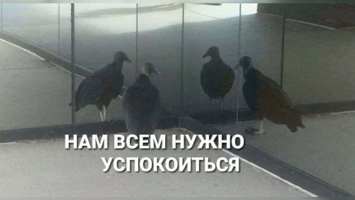 Доллар резко растет и снова дороже 3 рублей Доллар вырос на 1,27 копейки и стоит 3,0008 рубля. У евро минус 0,65 копейки, он стоит 3,416 рубля. Сотня российских рублей упала на 1,15 копейки, до 3,7798 рубля.