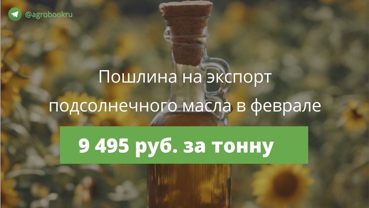 Пошлина на вывоз подсолнечного масла в феврале вырастет на 2 1 Экспортная пошлина на подсолнечное масло из России с 1 февраля 2026 года составит 9 495 руб за тонну следует из материалов Минсельхоза РФ При этом ставка пошлины на вывоз подсолнечного шрота второй месяц останется нулевой