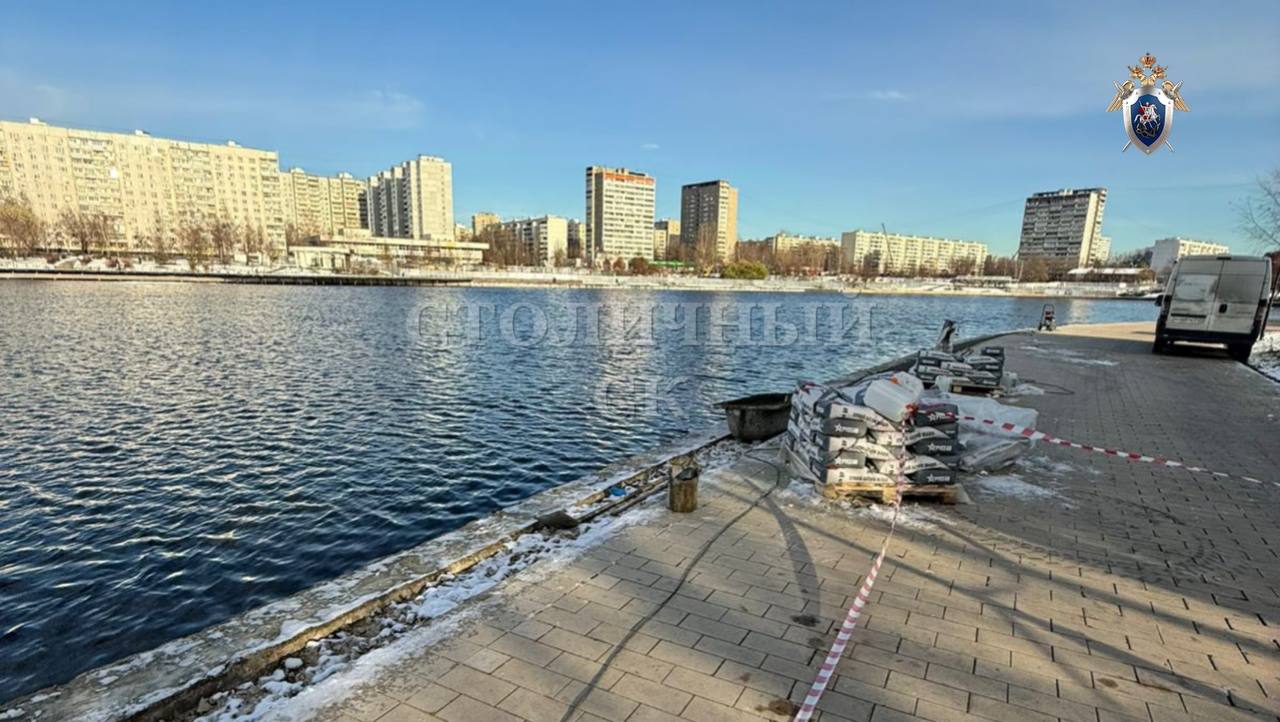 В найденном пакете обнаружили фрагмент тела ребенка По данным экспертизы погибшему было от 7 до 10 лет Прямой эфир