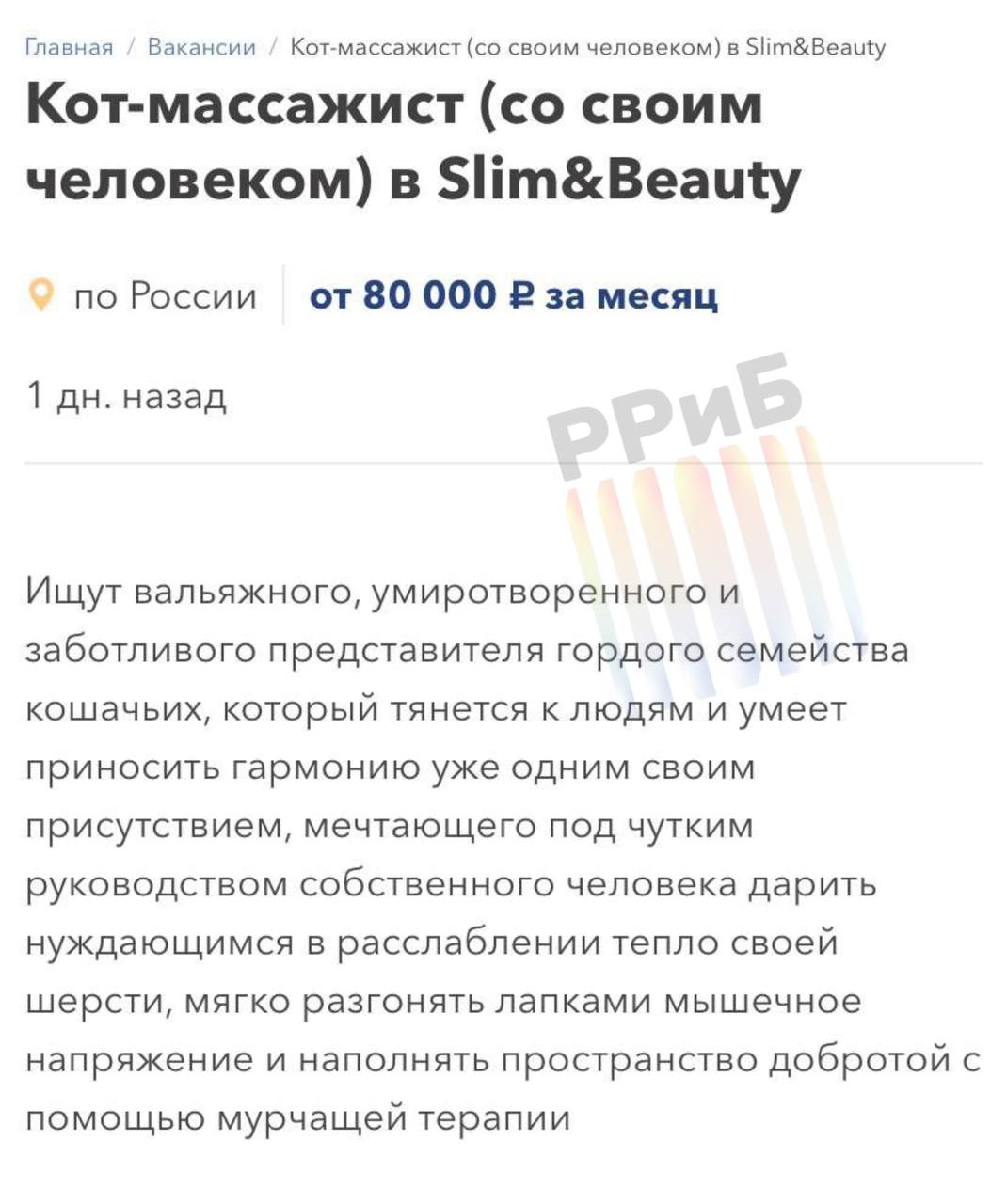 У россиян появилась возможность монетизировать своего кота — в Москве ищут пушистого массажиста на зарплату от 80 тысяч рублей. В соцпакет входят личная лежанка, лакомства и забота о здоровье. Кот должен владеть техникой «Целительное мур-мур», уметь вытягиваться вдоль тела клиента и располагать к себе даже самых строгих посетителей. Главное — никакой агрессии, только «лапочный» массаж и антистресс-мурчание.