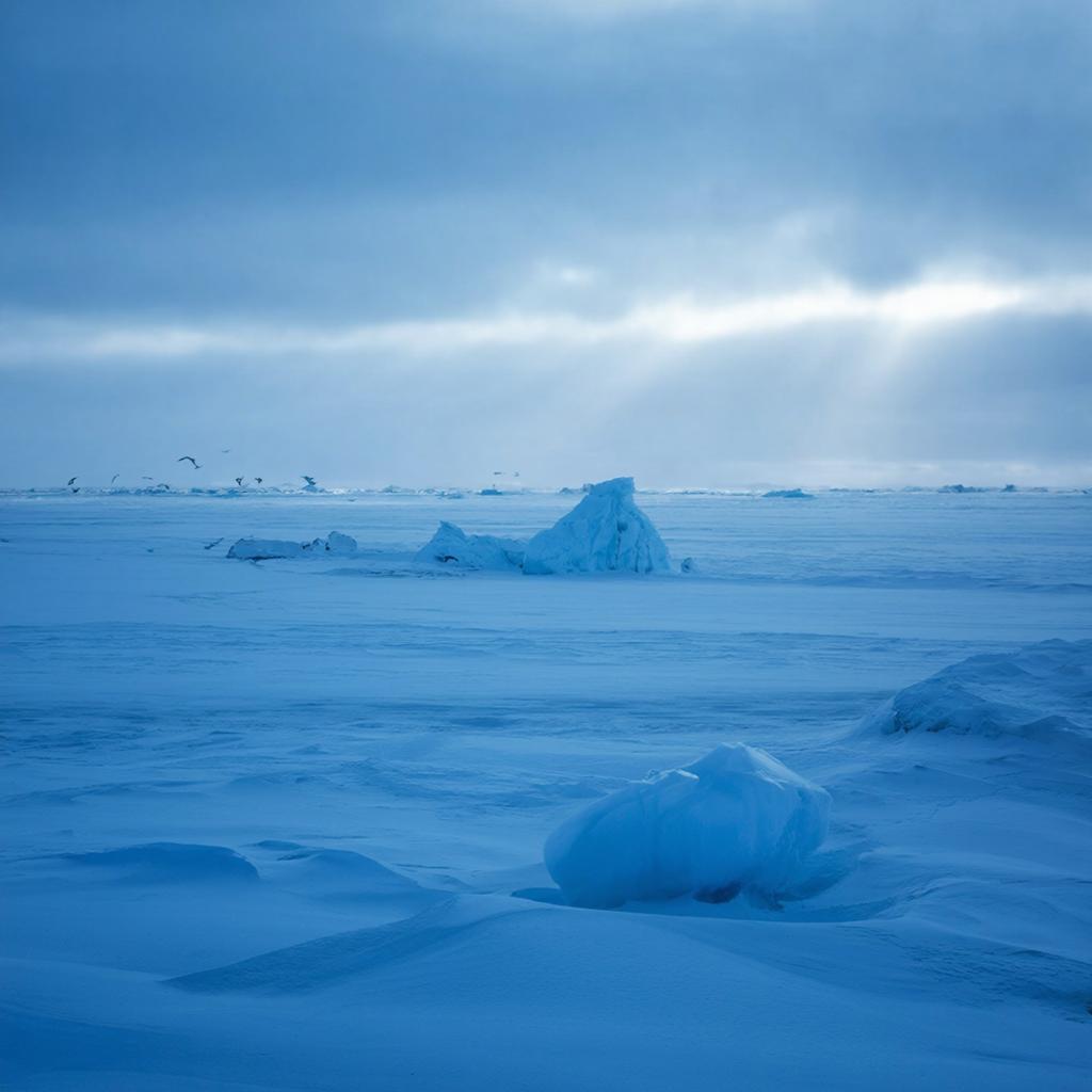 Дополнительный 450 млн рублей выделили на 71 й Российскую антарктическую экспедицию Средства из резервного фонда Правительства предназначены для осуществления научно экспедиционным судном Академик Трёшников рассказали в Правительстве Предполагалось что эту задачу выполнит российское судно Академик Фёдоров однако оно встало на ремонт из за неисправности оборудования Теперь за счёт федерального финансирования для Академика Трёшникова будет закуплен дополнительный объём топлива а также проведено обновление технических средств которые необходимы для успешного выполнения внеплановой миссии Судно отправится из Санкт Петербурга к Южному полюсу в январе 2026 года Общая протяжённость маршрута составит около 15 тыс км сделановроссии Подписывайтесь на Сделано в России