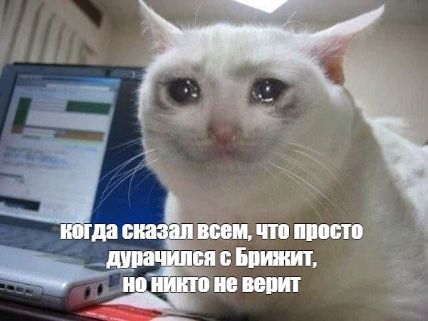 Если жена дает пощечину своему мужу, она никогда просто так это не делает, заметил Песков, комментируя разборки Макронов. Представитель Кремля добавил, что лезть в семейные дела нехорошо. Но это не наше дело , — сказал с улыбкой пресс-секретарь президента РФ во время разговора с журналистом Павлом Зарубиным.