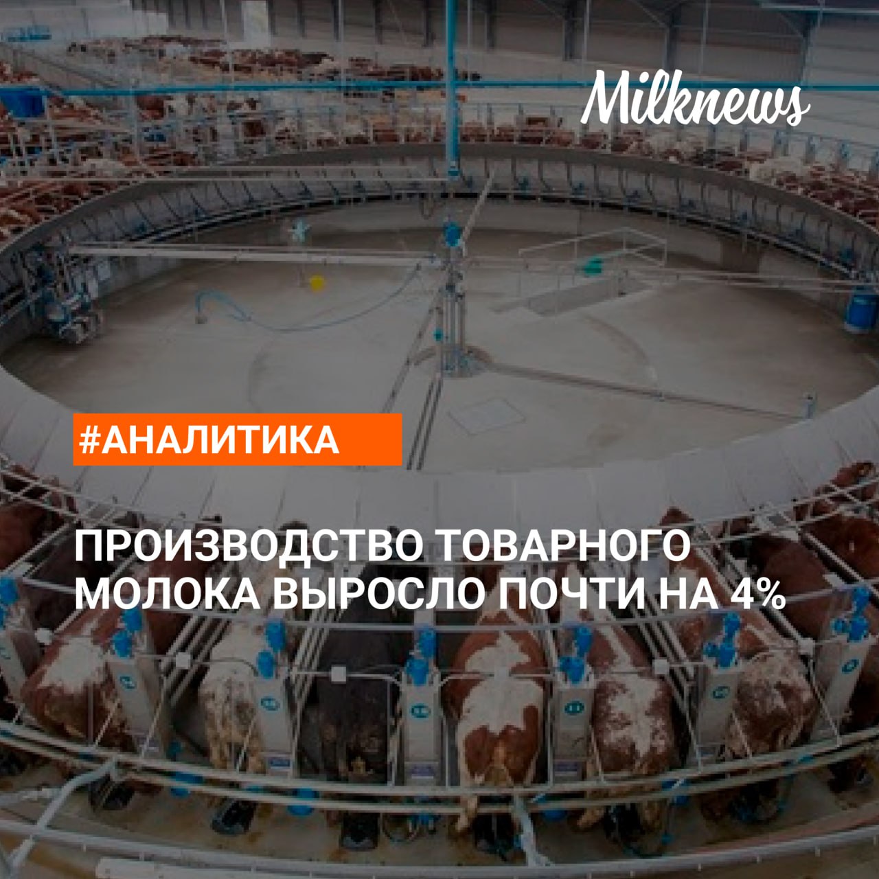 Производство товарного молока выросло до 2,1 млн т. в январе 2025 года к январю прошлого года.  В сельхозорганизациях производство выросло на 4,9%  +82 тыс. т  - до 1,8 млн т.  Основной прирост отмечен в следующих регионах:   Республика Татарстан +12 тыс. т   Пензенская область +7 тыс. т   Калужская область +6 тыс. т  Валовое производство молока в хозяйствах всех категорий в январе 2025 года увеличилось на 2,3% к уровню января 2024 года, до 2,4 млн т.    Подробнее