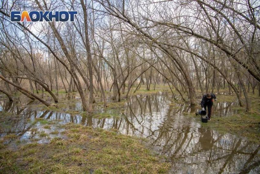 В Ростовской области началась подготовка к возможным весенним паводкам  Эксперты Минприроды Ростовской области  прогнозируют, что паводки в регионе будут менее интенсивными, чем в предыдущие годы.  Специалисты уже начали обследование потенциально опасных участков водоемов. В зону внимания попали пруды и водохранилища, а также гидротехнические сооружения, которые могут оказаться под угрозой затопления в случае внезапных изменений погодных условий.   Работа  Авто    Глэмпинг