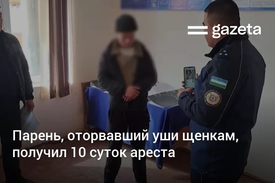 В Шерабадском районе Сурхандарьинской области 20 летний парень получил 10 суток ареста за жестокое обращение с животными В соцсети попало видео где он крутит щенков за уши и отрывает их Молодого человека привлекли по статье 111 Кодекса об административной ответственности Она предусматривает штраф или арест до 15 суток В 2025 году за жестокое обращение с животными наказали 70 человек Четверо получили арест остальные штрафы на 84 млн сумов   www gazeta uz ru 2026 02 23 animals Telegram Instagram YouTube
