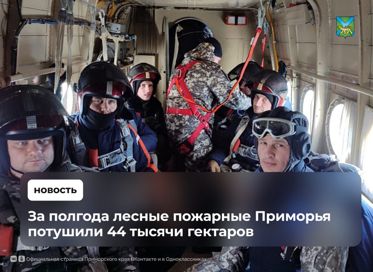 44 тысячи гектаров потушили в Приморье за первое полугодие по нацпроекту «Экологическое благополучие» Мониторинг на площади 11 миллионов гектаров по обнаружению и учёту возгораний организован: наземным способом с помощью авиации и космических средств За полгода 7 0 3 летних часа в воздухе отработали летчики наблюдатели Также лесные пожарные создавали, прочищали и обновляли противопожарные минерализованные полосы. Вели рубки прочистки и осветления для ухода за лесом, убирали неликвидную древесину