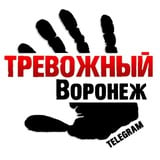 Аватар Телеграм канала: Тревожный Воронеж