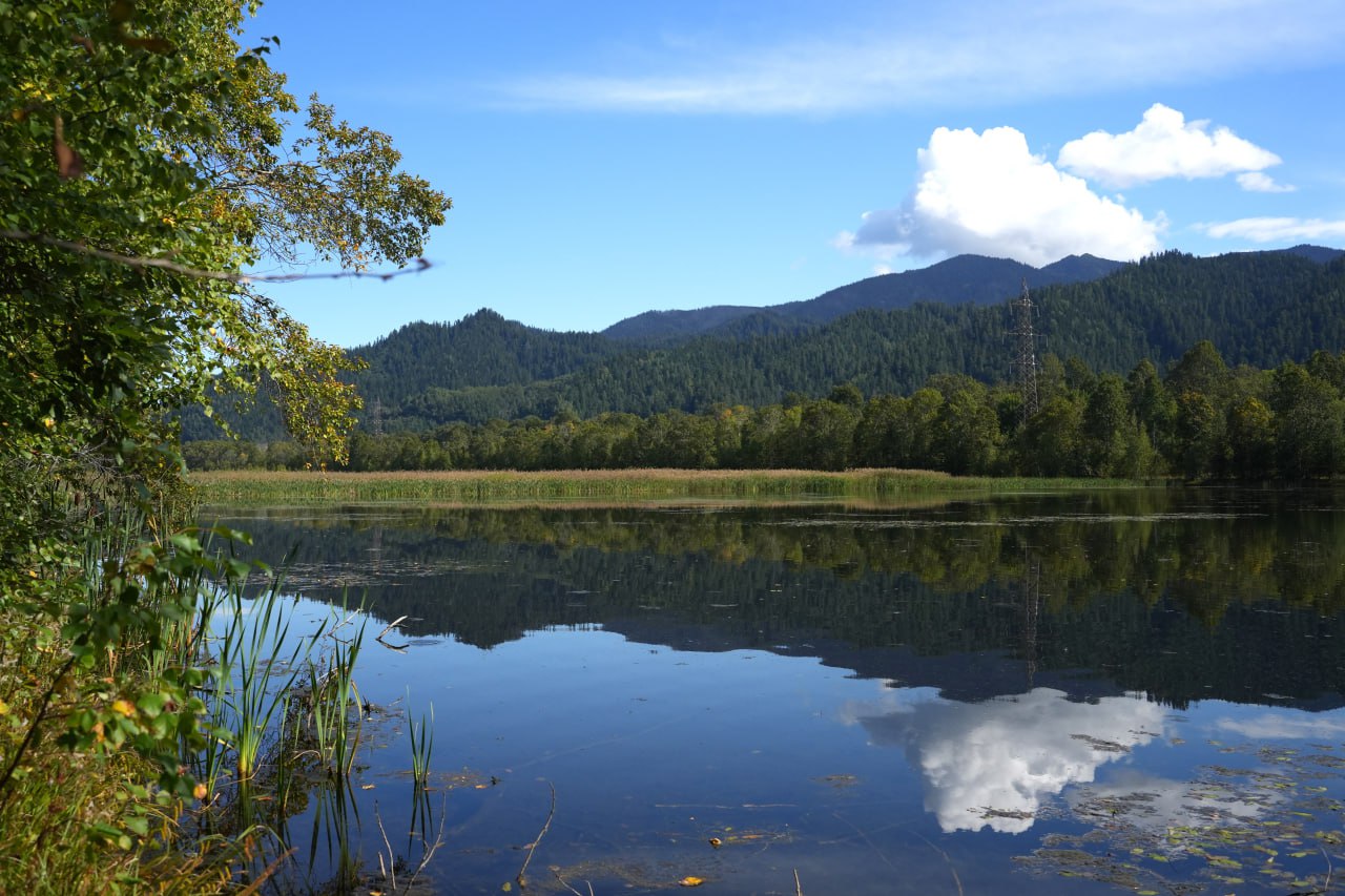 Мониторинг окружающей среды позволит управлять экологическими рисками и осуществлять комплексное прогнозирование Вице премьер Дмитрий Патрушев обсудил с руководителями профильных ведомств функционирование и развитие федеральной государственной информационной системы состояния окружающей среды Был представлен статус по наполнению системы данными и планы по ее развитию на ближайшие несколько лет ℹ Всего система предусматривает размещение 366 наборов данных экологической информации Так в ней содержатся данные о состоянии и загрязнении воздуха поверхностных вод водных объектов и почв радиационной обстановке объеме выбросов и сбросов загрязняющих веществ обращении с отходами производства и потребления мероприятиях по снижению негативного воздействия Система будет доступна для органов власти граждан и бизнеса Система Экомониторинг это единая цифровая платформа которая получает различные данные связанные с состоянием окружающей среды Она продолжит свое развитие в том числе должны появиться инструменты математического моделирования и прогнозирования а также внедрены технологии искусственного интеллекта Благодаря этому мы сможем объективно оценивать текущие процессы управлять экологическими рисками и осуществлять комплексное прогнозирование отметил Дмитрий Патрушев Основной массив данных будет загружен в течение 2026 года Вице премьер подчеркнул что для эффективной донастройки платформы важно наладить качественное межведомственное взаимодействие под контролем Минприроды Подписаться на Правительство России в MAX