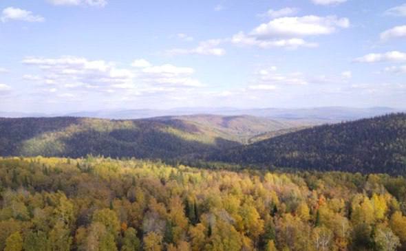 Мобильная связь появилась на опасном повороте Тещин язык в Башкирии Компания МТС обеспечила связью один из самых сложных горных участков в республике Покрытие на сложном дорожном повороте с изгибом почти на 180 градусов обеспечивает новая базовая станция установленная на перевале Зильмердак На Тещином языке теперь доступна голосовая связь что особенно важно в экстренных ситуациях для вызова помощи Базовая станция работает на автономных источниках питания и не требует подключения к общей электросети Такое решение оператор использовал из за особенностей горного рельефа местности где затруднено строительство традиционной инфраструктуры Это позволяет обеспечить бесперебойную работу телеком оборудования вне зависимости от погоды Директор МТС в Башкортостане Егор Фисюк подчеркнул что с установкой нового оборудования сотовая связь стала доступна еще на 15 км трассы Уфа Инзер а всего в зоне покрытия оператора находится уже около 75 этой магистрали Надежное покрытие сети вдоль автомагистралей это не только удобство но и фактор безопасности для водителей Особенно важно обеспечить связь на сложных участках таких как Тещин язык где любое превышение скорости может привести к аварии сказал Егор Фисюк РБК Уфа в Telegram РБК Уфа в MAX