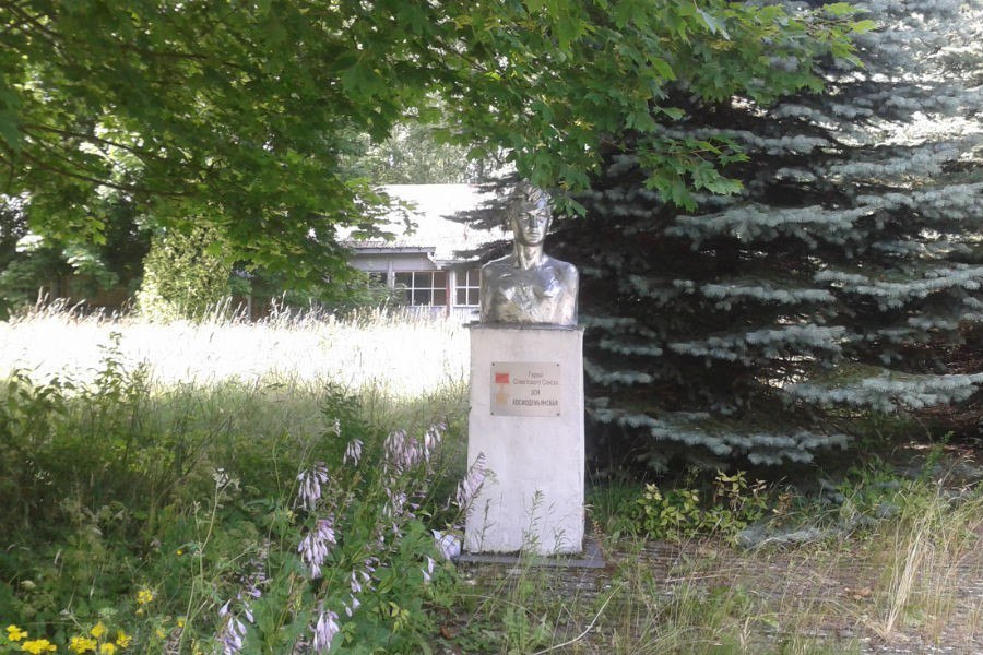 На месте бывших пионерлагерей в Светлогорске планируют построить центр на 550 мест «У нас есть крупные земельные участки, которые мы уже оформили, объединили из трех участков в городе Светлогорске. Планируем на следующий год приступить к разработке проектно-сметной документации, реализовывать её по разным форматам и с использованием быстровозводимых модулей и стационарных помещений», — сообщила министр образования Светлана Трусенева. По ее словам, пока трудно сказать, во сколько обойдется строительство нового лагеря: «Я думаю, что порядка четырех миллиардов инвестиций потребуется с учетом тех цен, которые мы сейчас видим». Светлана Трусенева уточнила, что речь идет о территории «в сторону Отрадного, сразу после санатория «Янтарный берег»: «Раньше это был лагерь Зои и Шуры Космодемьянских и Дзержинского. Территория в областной собственности. Ее передали военные вместе с участком лагеря Дзержинского». Территория лагеря им. Зои и Шуры Космодемьянских. Фото из архива ОНФ