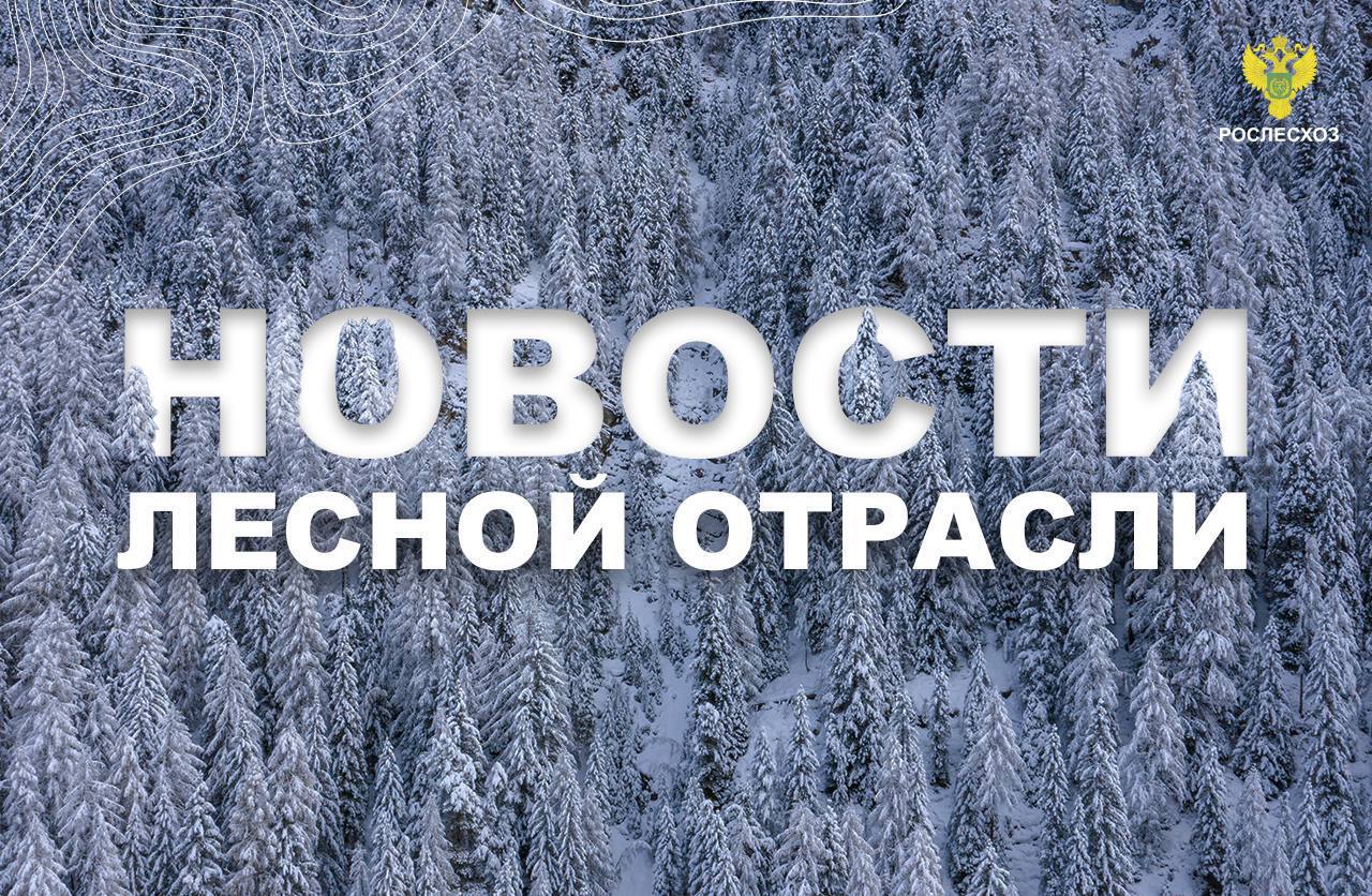 ТАСС: В РФ начинает работу госинфосистема лесного комплекса    ТАСС: Лесная техника РФ с 1 января должна быть оснащена аппаратурой спутниковой связью    РИА Новости: Рослесхоз оценил, какую площадь лесных пожаров нужно «удержать» в 2025 году    Forestcomplex ru: В Лесной кодекс вновь были внесены изменения    ТАСС: В ЛНР за два года восстановили 735 га лесов