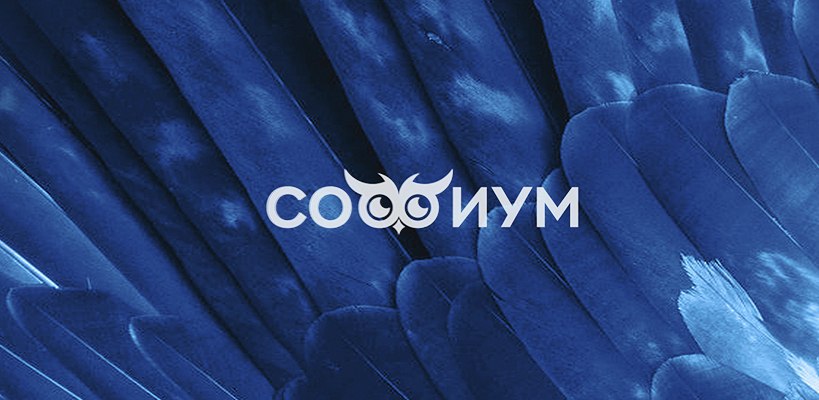 Всероссийская олимпиада школьников по избирательному праву и процессу Софиум проходит уже не первый год Это многоступенчатое интеллектуальное состязание направлено на выявление и поддержку одаренных учащихся а также на повышение их правовой культуры 6 ноября в Костромской области состоится отборочный тур регионального этапа Всероссийской олимпиады Софиум Ребятам из 10 х и 11 х классов предстоит решить ситуационные задачи и написать эссе по вопросам избирательного права и процесса Четыре участника с лучшими результатами будут допущены ко второму туру регионального этапа который пройдет в форме тестирования на сайте РЦОИТ при ЦИК России Победители регионального этапа допускаются к участию в заключительном этапе олимпиады на площадке ЦИК России Для подготовки можно воспользоваться ресурсами Центральной избирательной комиссии уже возобновлена рубрика Подготовься к Софиуму в которой размещаются ситуационные задачи и их решения избирком44