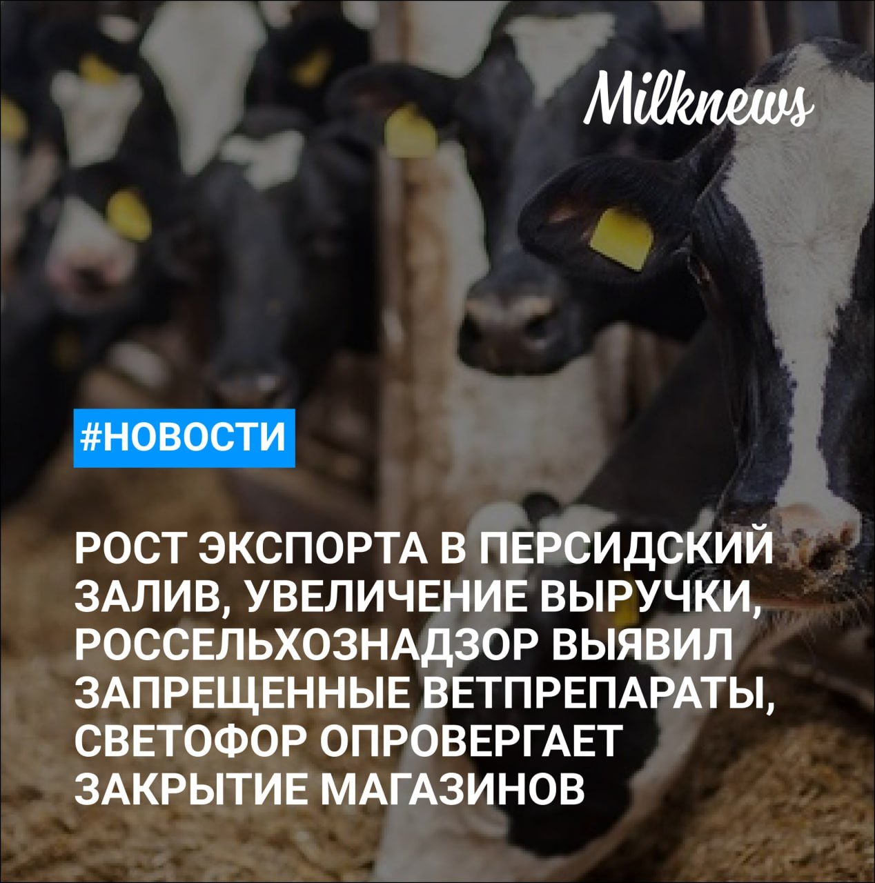 Минсельхоз: экспорт продовольствия из России в страны Персидского залива растет    «Стерлитамакский молочный комбинат» в 2024 году увеличил выручку на 35%    «Шахунское молоко» планирует нарастить экспорт продукции в 3-4 раза в 2025 году    Россельхознадзор выявил 15 тыс. упаковок запрещенных ветпрепаратов    «Светофор» планирует через суд опровергнуть информацию о закрытии магазинов