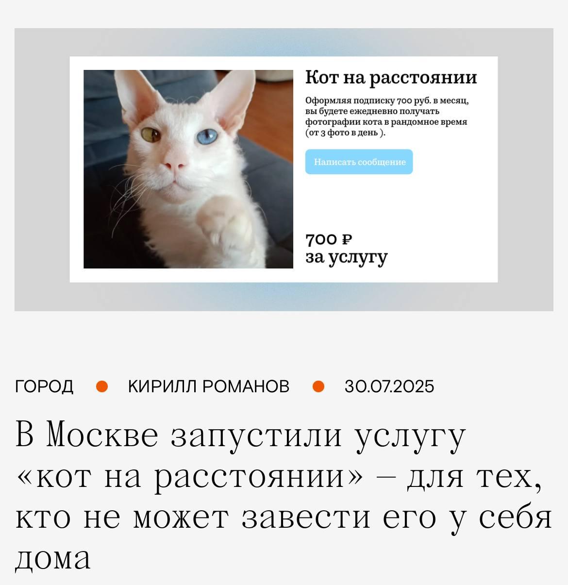 В Москве стартовала услуга «Кот на расстоянии» — идеальное решение для аллергиков и тех, кто не может завести домашнего любимца. В рамках ежемесячной подписки пользователи получают фото и видео пушистого антидепрессанта по имени Чоп, который «живёт свою лучшую кошачью жизнь». Подписка обойдётся в 700 рублей. Коты на удаленке. Дожили. Новости без Политоты
