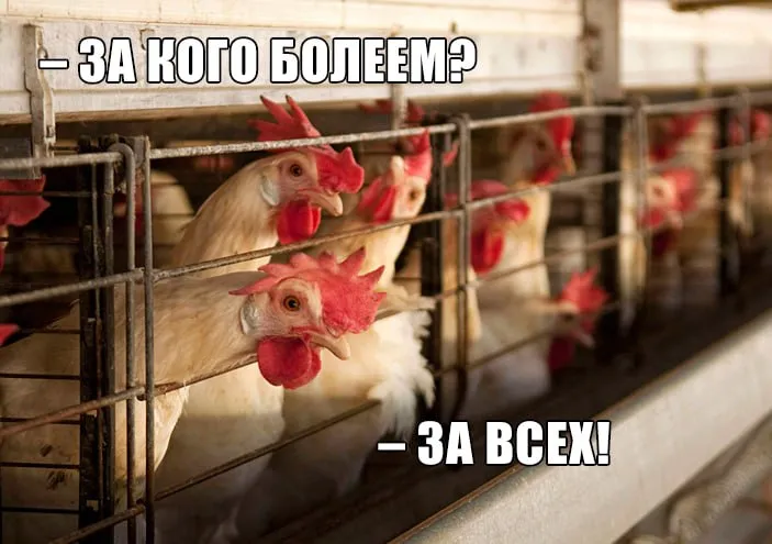 Полсотни мигрантов устроили массовую драку в Ленобласти Мордобой произошел на крупнейшей в России птицефабрике Синявинская В больницу увезли 20 человек семеро из пострадавших тяжелые Как сообщили в полиции ценные специалисты сошлись в арматурно кулачном бою после конфликта между уроженцами Средней и Южной Азии СМИ пишут что это были таджики и индусы в возрасте от 21 до 39 лет   Подпишитесь на Абзац в Максе